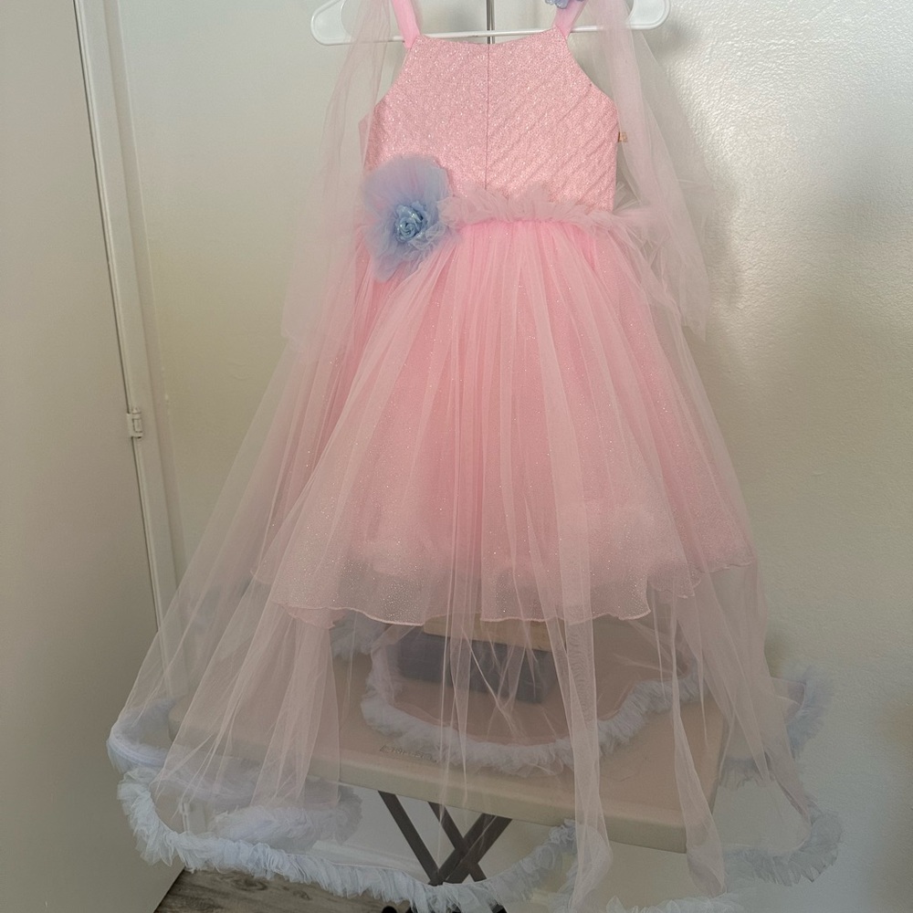 Little Plum Princess Girl Tutu Dress